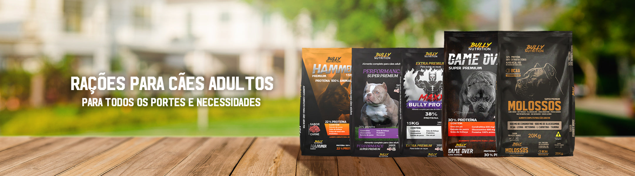 CÃES ADULTOS
