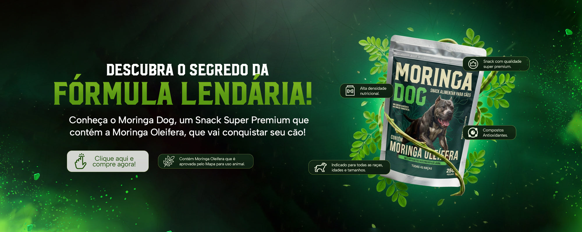 Coleção Larissa Moringa