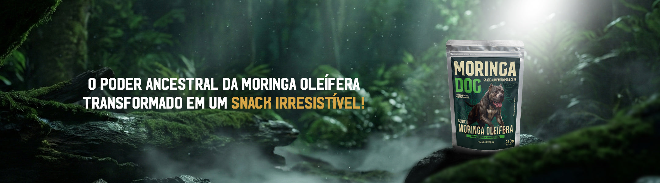 MORINGA DOG