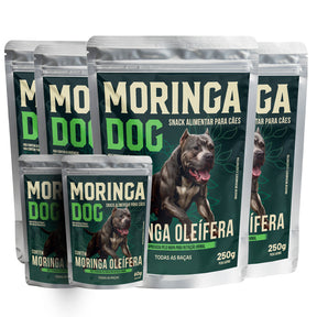 6 Snacks Alimentar Moringa Dog 250g Para Todas as Raças + Ganhe 03 Moringa Dog 60g