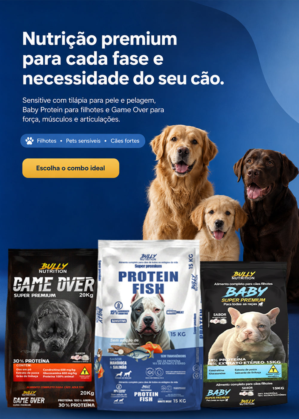 CHAMPION DOG PREMIUM