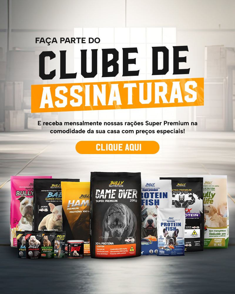 CHAMPION DOG PREMIUM