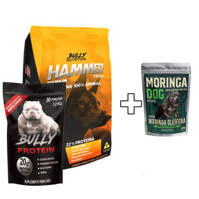 Ração Hammer Premium + Suplemento Bully Protein 1,2Kg Cachorro Forte + Ganhe um Moringa Dog 60g