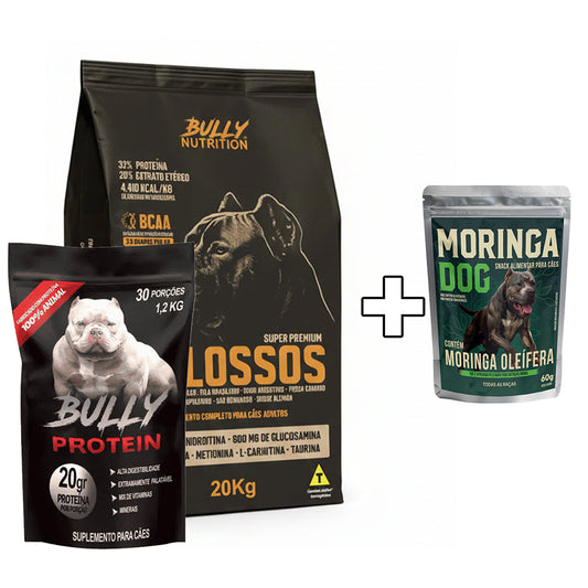 Ração Molossos 20kg + Suplemento Bully Protein 1,2Kg + Ganhe um Moringa Dog 60g