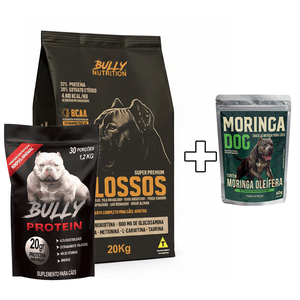 Ração Molossos 20kg + Suplemento Bully Protein 1,2Kg + Ganhe um Moringa Dog 60g