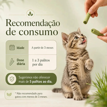 Bastão Grama Gato Controle Bola De Pelo Petisco Frango