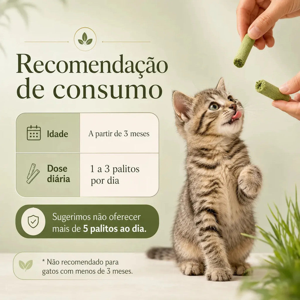 Bastão Grama Gato Controle Bola De Pelo Petisco Frango